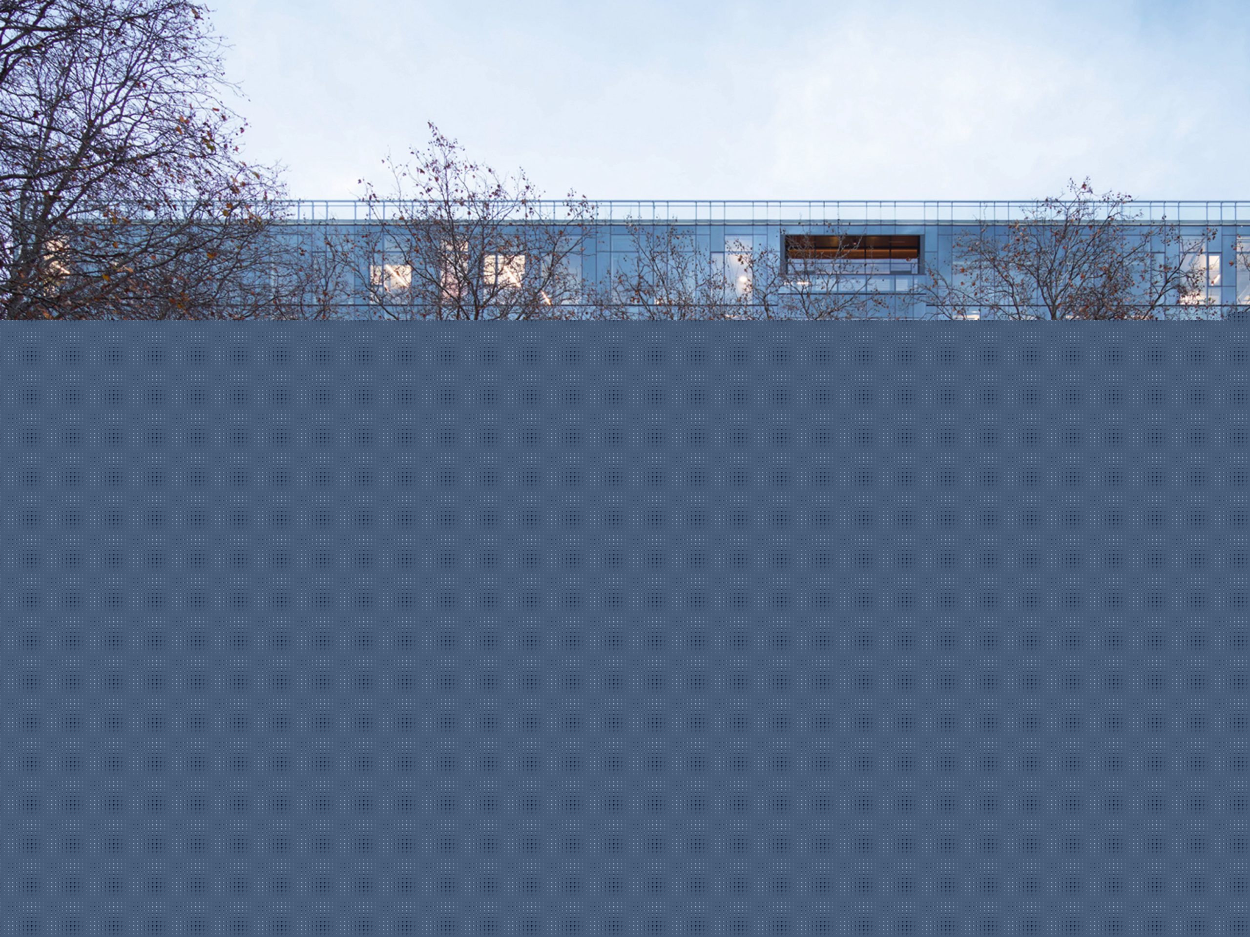 Weyerhaeuser
