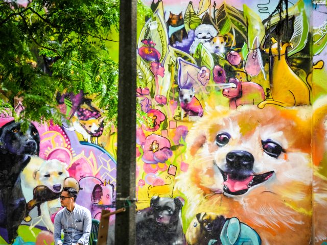 Dog Mural