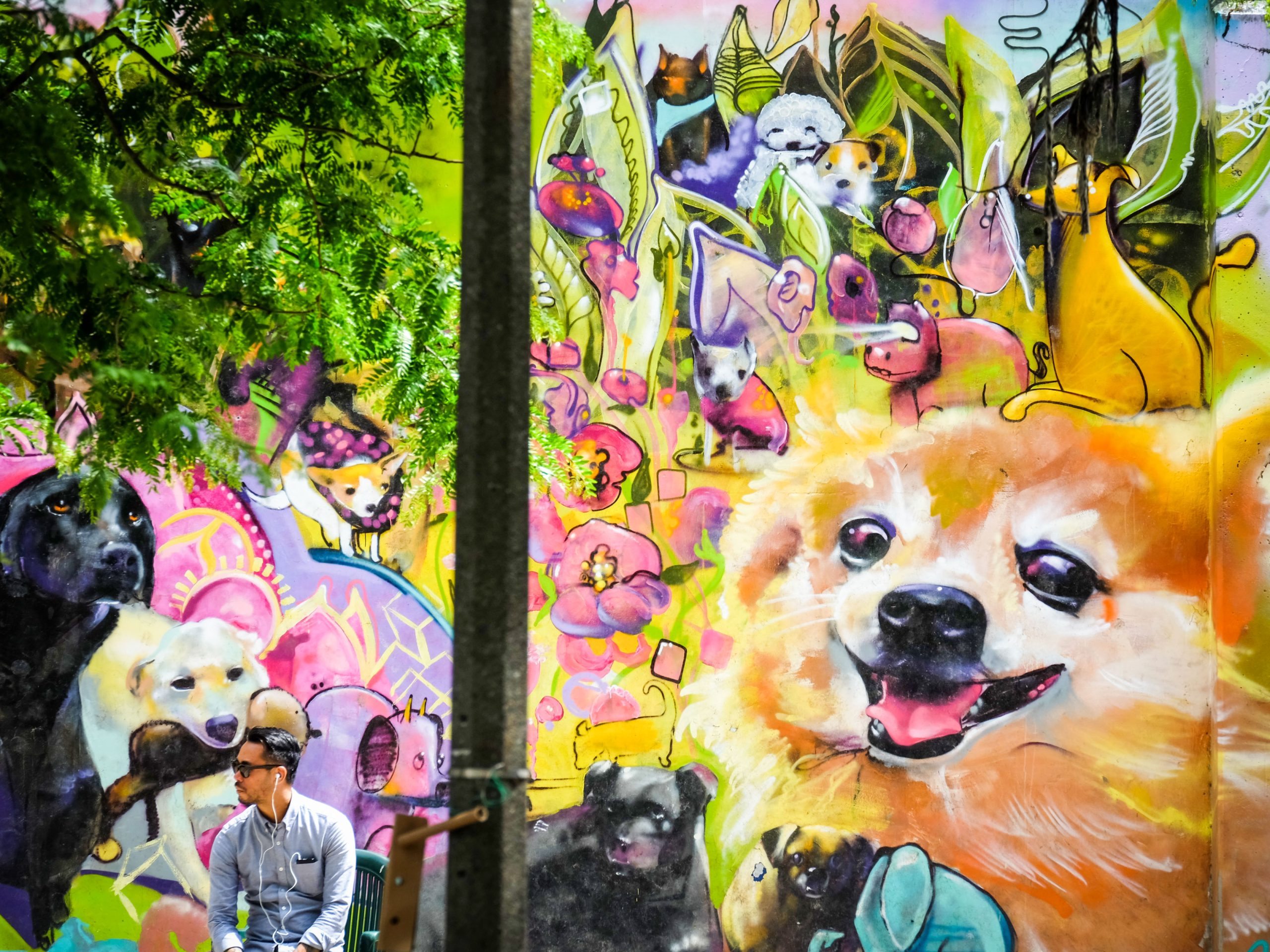 Dog Mural