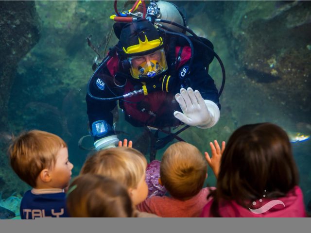 Seattle Aquarium