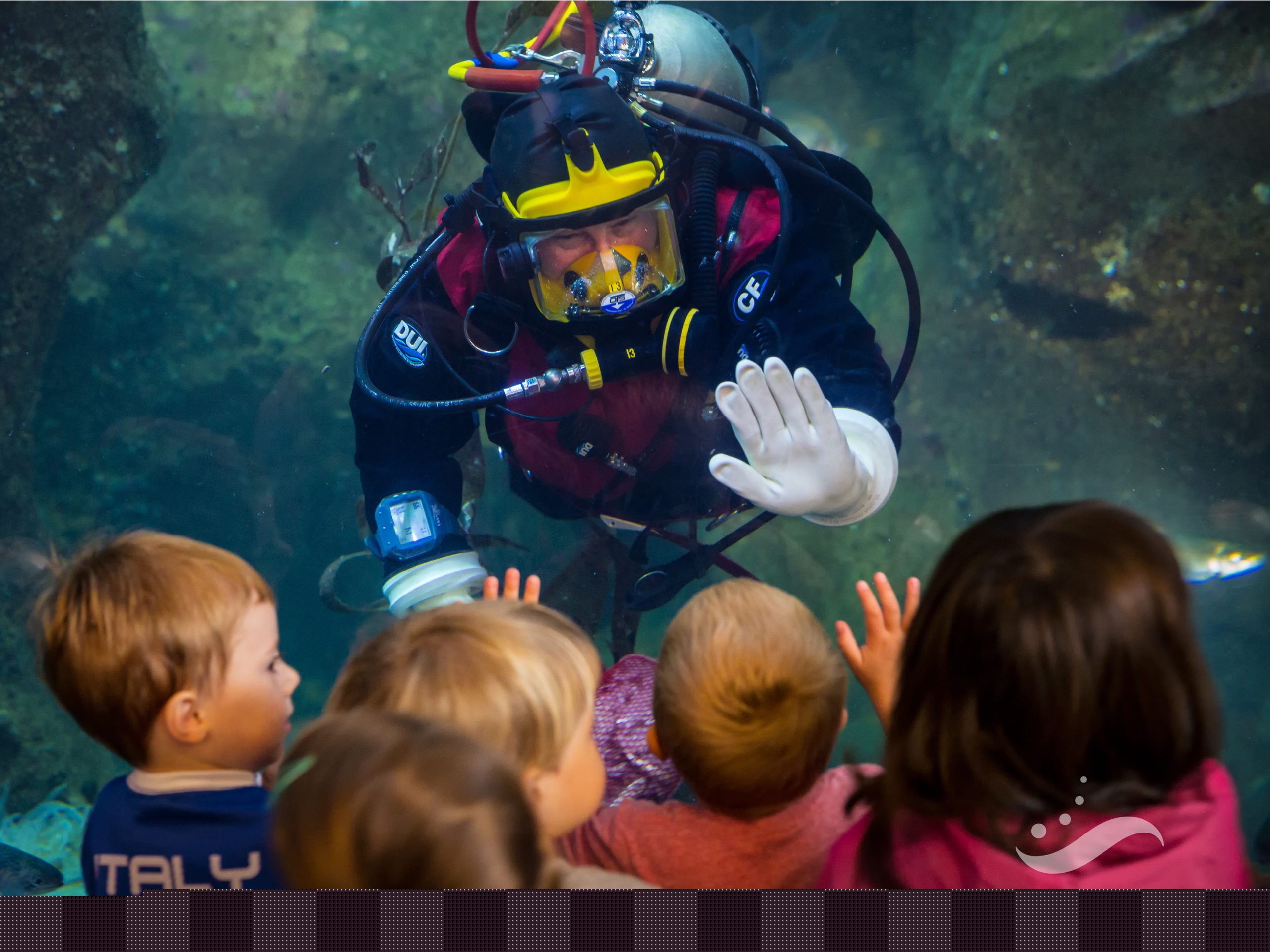 Seattle Aquarium