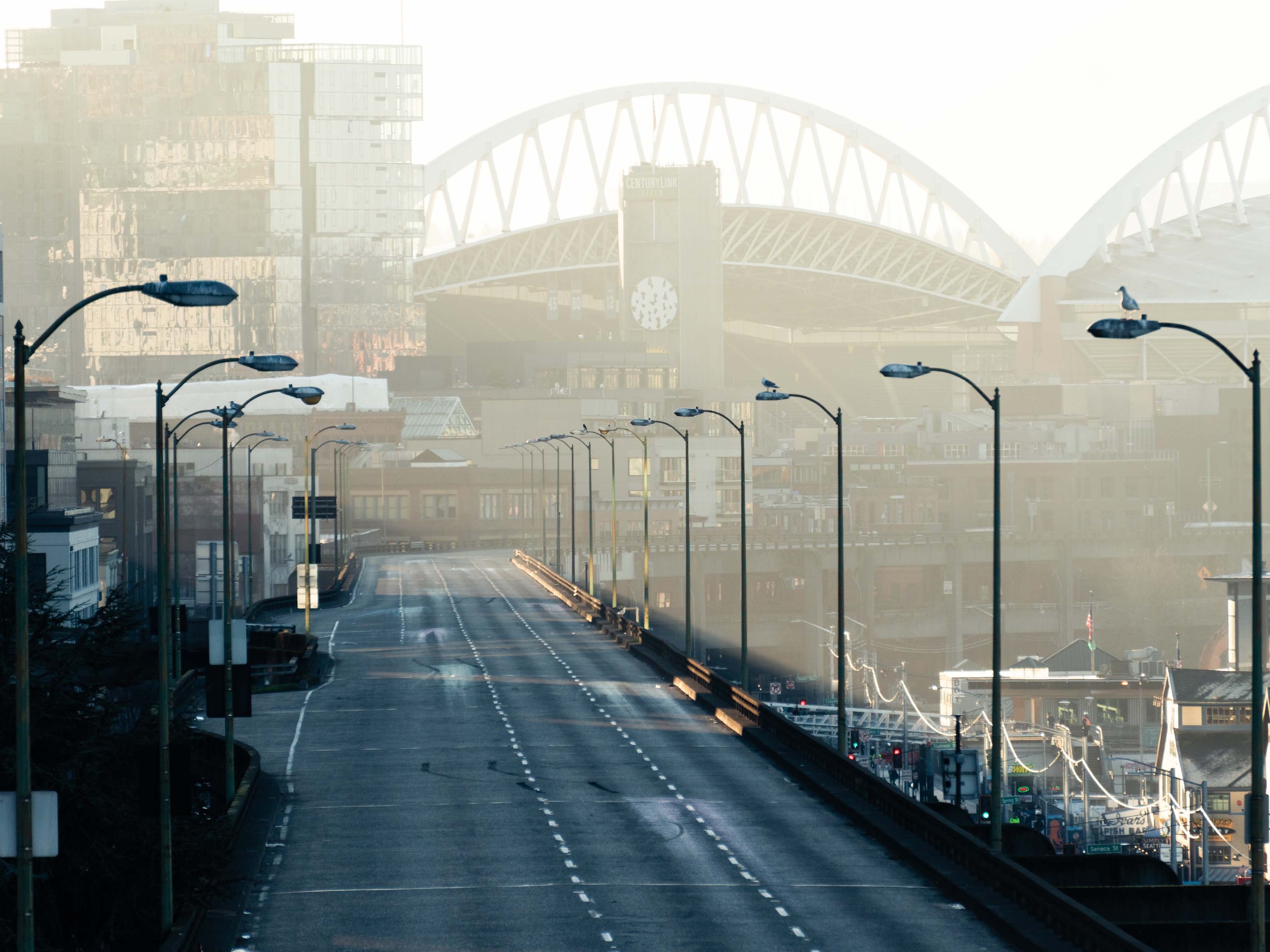 Empty highway in the middle of a city