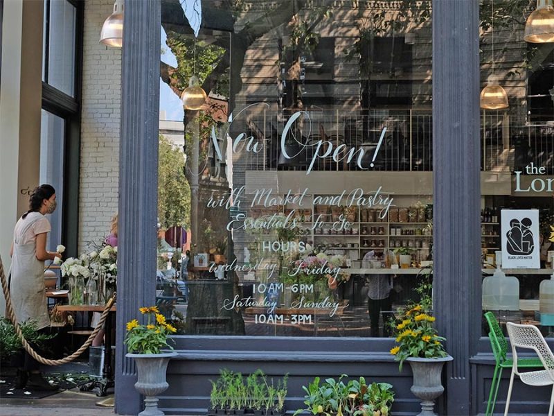 The London Plane in Occidental Square, downtown Seattle
