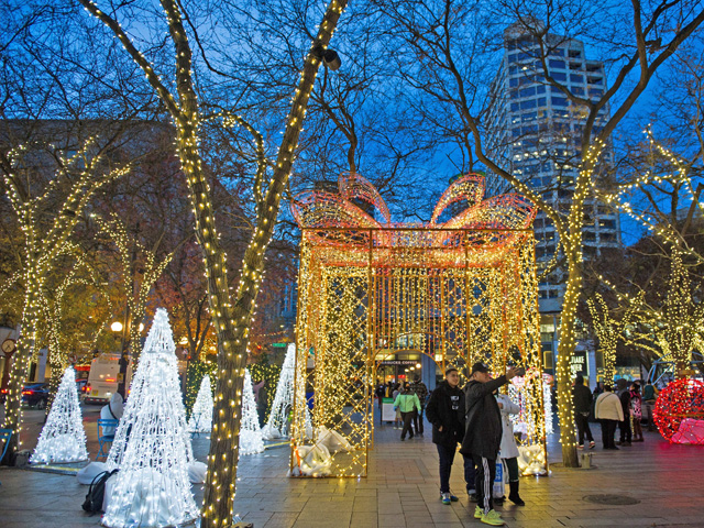 Westlake Park holiday lights