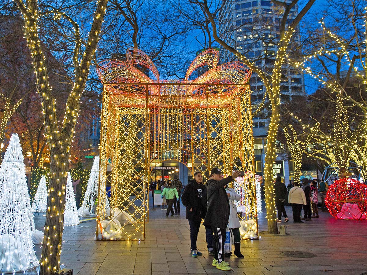 Lights in Westlake Park