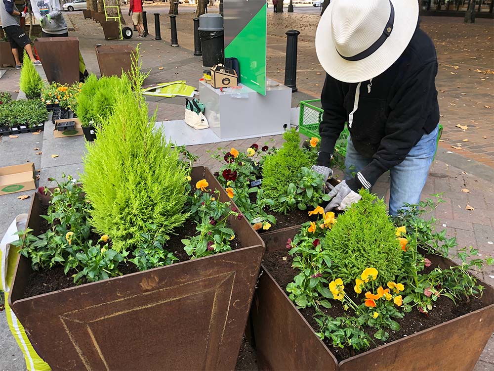 Urban gardening