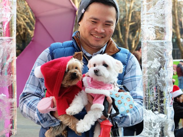 Man holding two dogs dressed in Christmas outfits