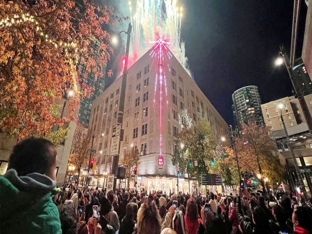 Holidays: crowd of Westlake Park visitors enjoying the fireworks during tree lighting.