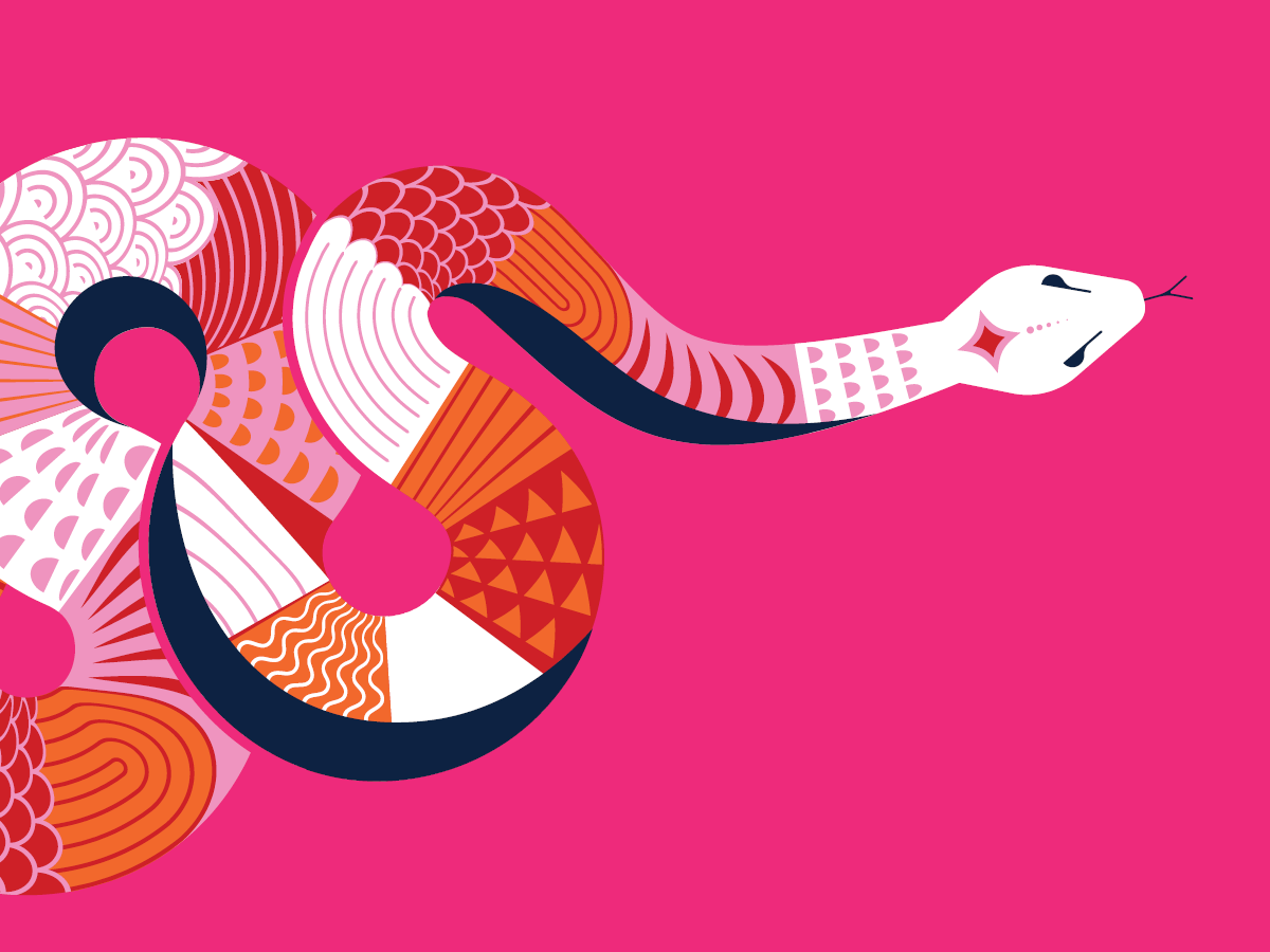 Lunary New Year - pink and patterned snake