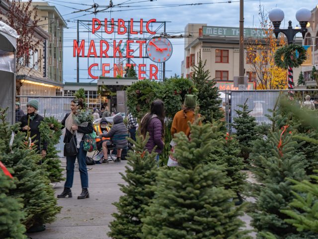 events-pines-on-pike Pines on Pike Christmas Tree Lot