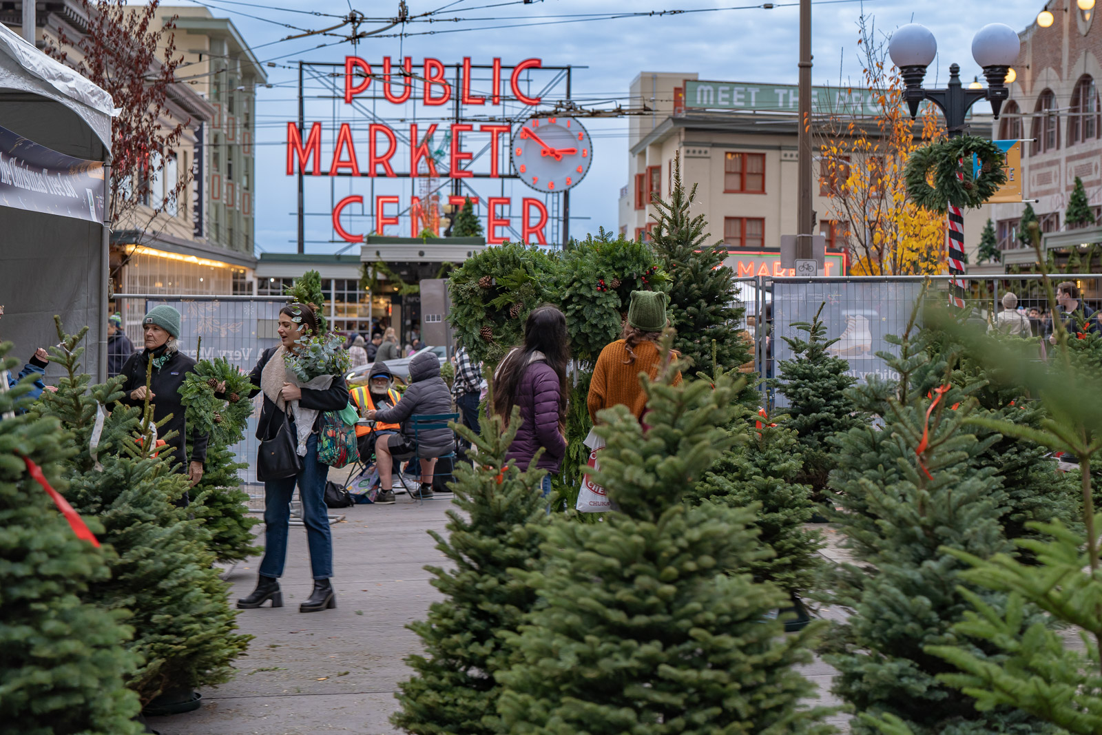 Pines on Pike Christmas Tree Lot