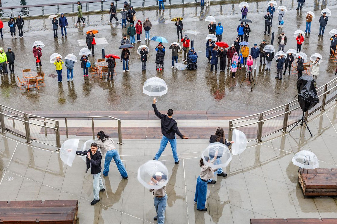Umbrella dancers and audience